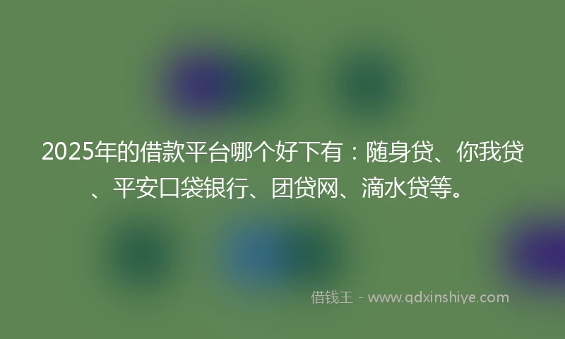 2025年的借款平台哪个好下有:随身贷、你我贷、平安口袋银行、团贷网、滴水贷等。