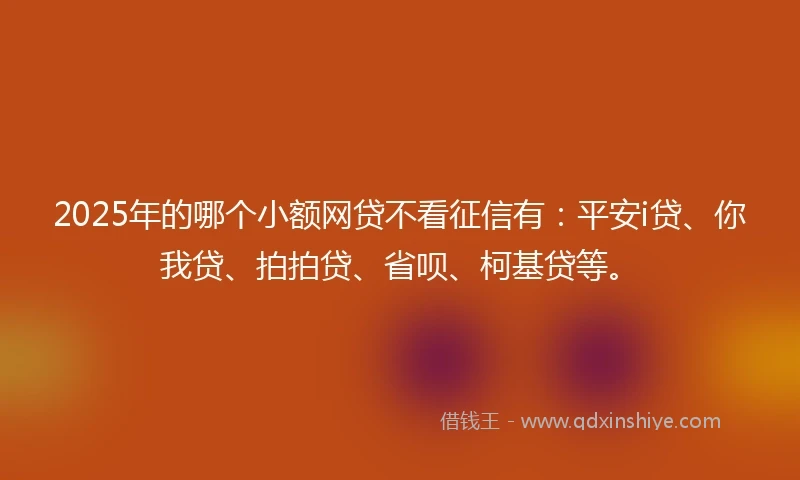 2025年的哪个小额网贷不看征信有：平安i贷、你我贷、拍拍贷、省呗、柯基贷等。