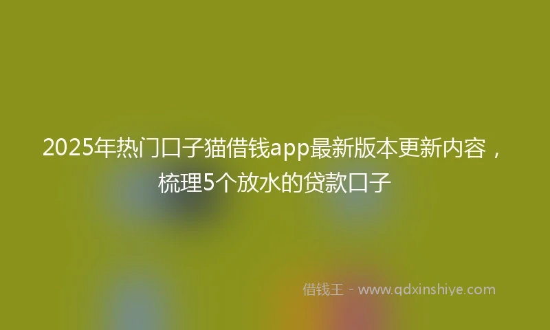 2025年热门口子猫借钱app最新版本更新内容，梳理5个放水的贷款口子