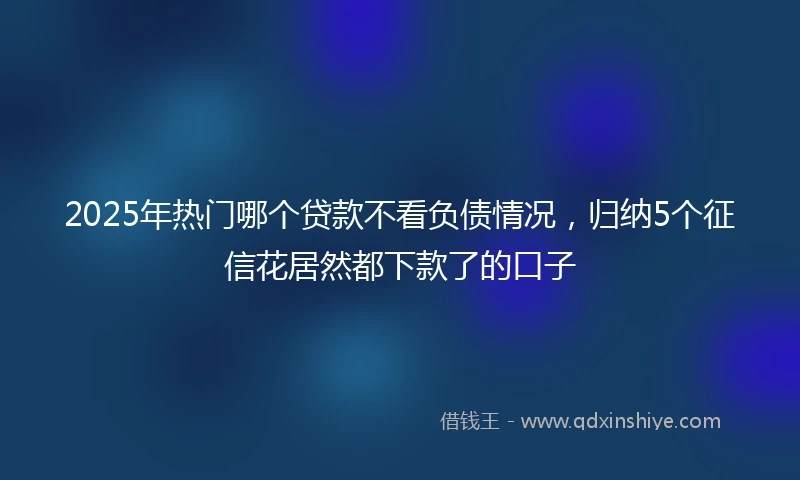 2025年热门哪个贷款不看负债情况，归纳5个征信花居然都下款了的口子