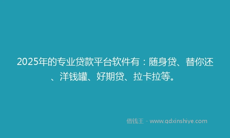 2025年的专业贷款平台软件有：随身贷、替你还、洋钱罐、好期贷、拉卡拉等。