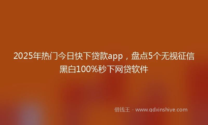 2025年热门今日快下贷款app，盘点5个无视征信黑白100%秒下网贷软件
