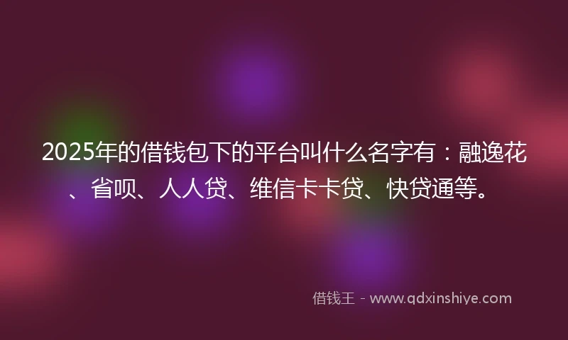 2025年的借钱包下的平台叫什么名字有：融逸花、省呗、人人贷、维信卡卡贷、快贷通等。