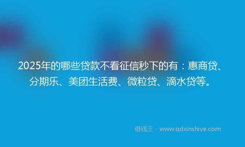 2025年的哪些贷款不看征信秒下的有：惠商贷、分期乐、美团生活费、微粒贷、滴水贷等。