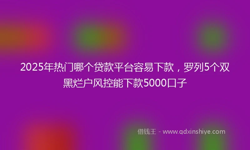 2025年热门哪个贷款平台容易下款，罗列5个双黑烂户风控能下款5000口子