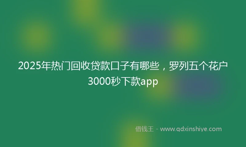 2025年热门回收贷款口子有哪些，罗列五个花户3000秒下款app