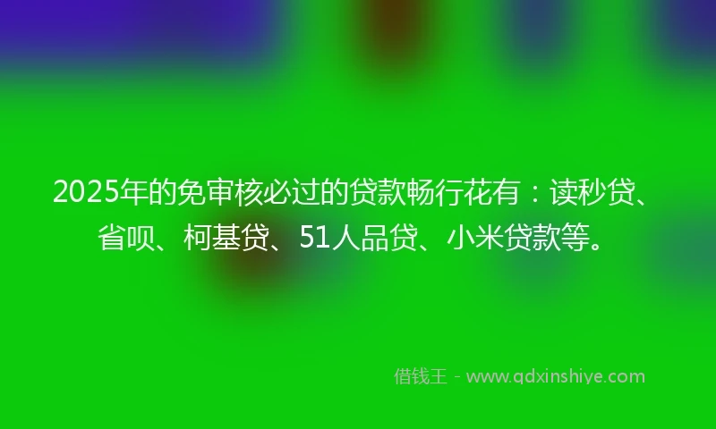 2025年的免审核必过的贷款畅行花有：读秒贷、省呗、柯基贷、51人品贷、小米贷款等。