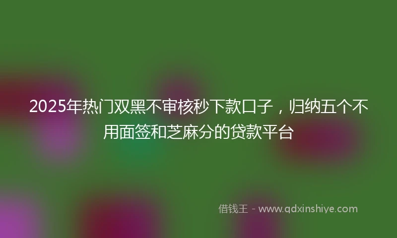 2025年热门双黑不审核秒下款口子，归纳五个不用面签和芝麻分的贷款平台