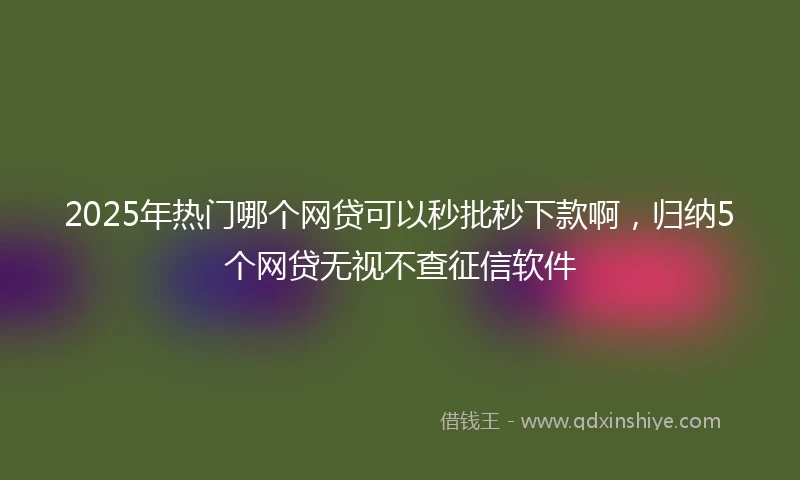 2025年热门哪个网贷可以秒批秒下款啊,归纳5个网贷无视不查征信软件