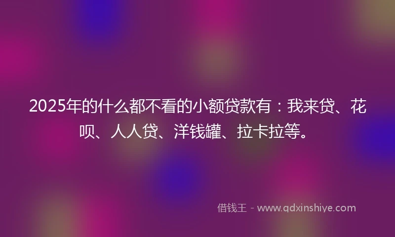 2025年的什么都不看的小额贷款有：我来贷、花呗、人人贷、洋钱罐、拉卡拉等。