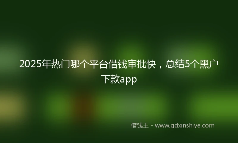 2025年热门哪个平台借钱审批快，总结5个黑户下款app