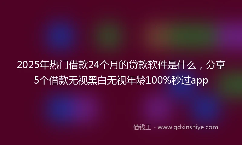 2025年热门借款24个月的贷款软件是什么，分享5个借款无视黑白无视年龄100%秒过app
