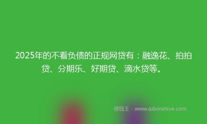 2025年的不看负债的正规网贷有：融逸花、拍拍贷、分期乐、好期贷、滴水贷等。