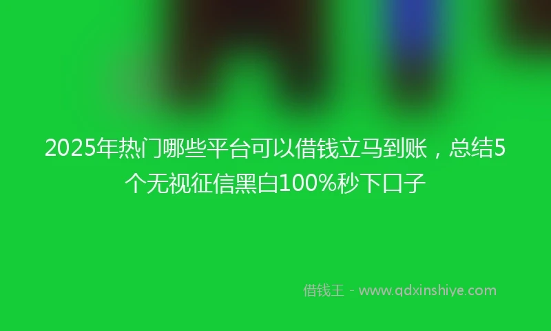 2025年热门哪些平台可以借钱立马到账，总结5个无视征信黑白100%秒下口子