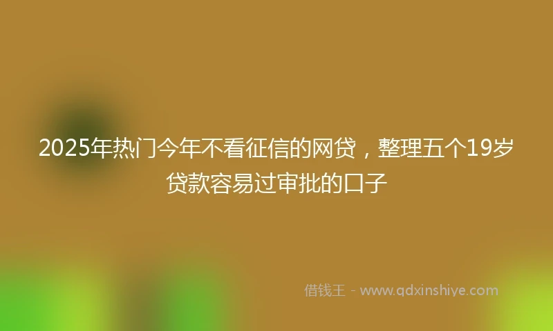 2025年热门今年不看征信的网贷，整理五个19岁贷款容易过审批的口子