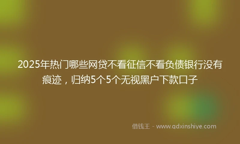 2025年热门哪些网贷不看征信不看负债银行没有痕迹，归纳5个5个无视黑户下款口子