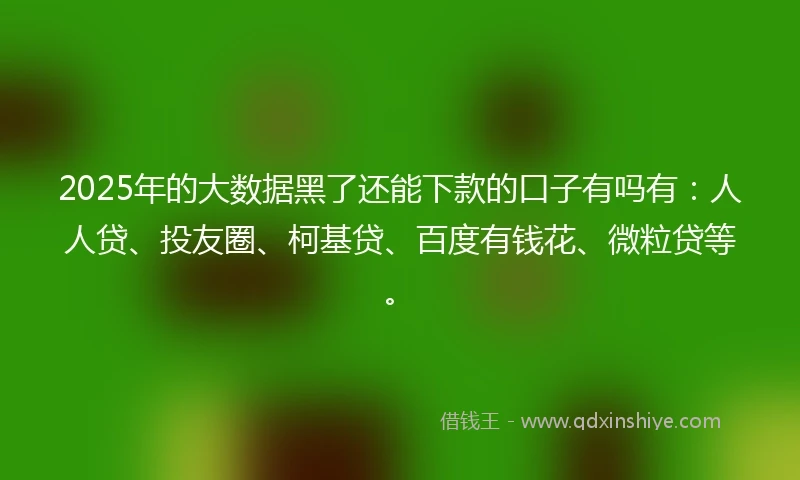 2025年的大数据黑了还能下款的口子有吗有：人人贷、投友圈、柯基贷、百度有钱花、微粒贷等。