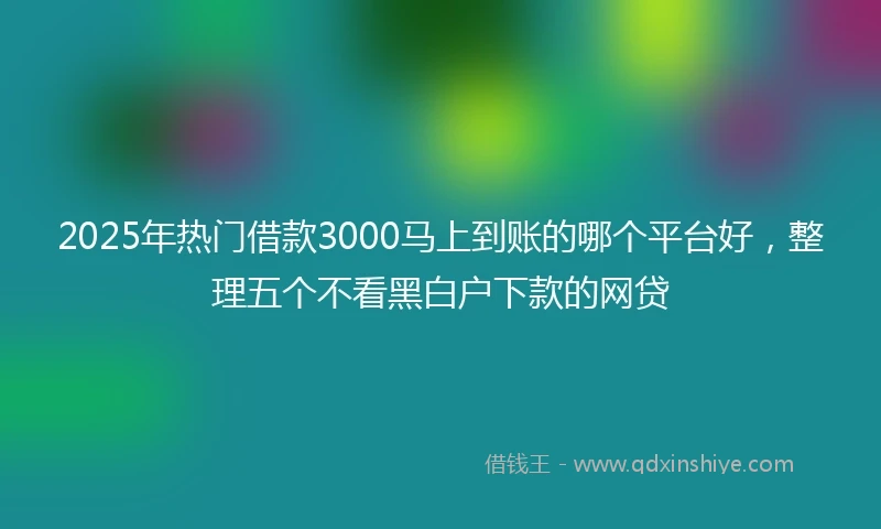 2025年热门借款3000马上到账的哪个平台好，整理五个不看黑白户下款的网贷
