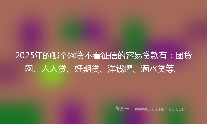2025年的哪个网贷不看征信的容易贷款有：团贷网、人人贷、好期贷、洋钱罐、滴水贷等。