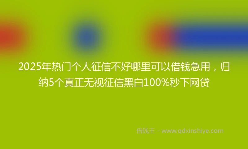 2025年热门个人征信不好哪里可以借钱急用，归纳5个真正无视征信黑白100%秒下网贷