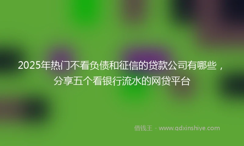 2025年热门不看负债和征信的贷款公司有哪些,分享五个看银行流水的网贷平台
