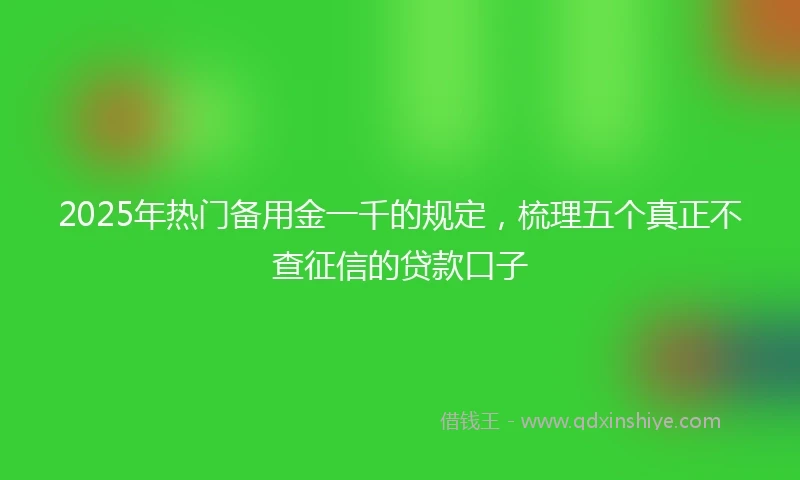 2025年热门备用金一千的规定，梳理五个真正不查征信的贷款口子