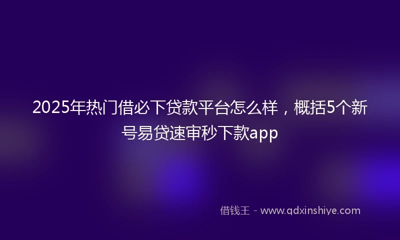 2025年热门借必下贷款平台怎么样，概括5个新号易贷速审秒下款app