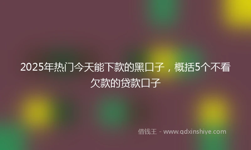 2025年热门今天能下款的黑口子，概括5个不看欠款的贷款口子