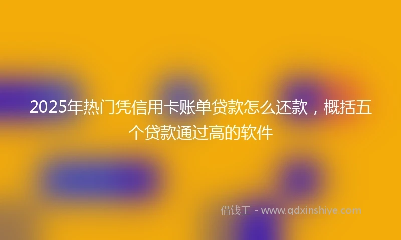 2025年热门凭信用卡账单贷款怎么还款，概括五个贷款通过高的软件
