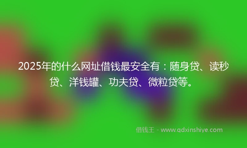 2025年的什么网址借钱最安全有：随身贷、读秒贷、洋钱罐、功夫贷、微粒贷等。