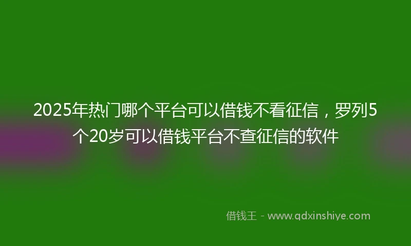 2025年热门哪个平台可以借钱不看征信，罗列5个20岁可以借钱平台不查征信的软件