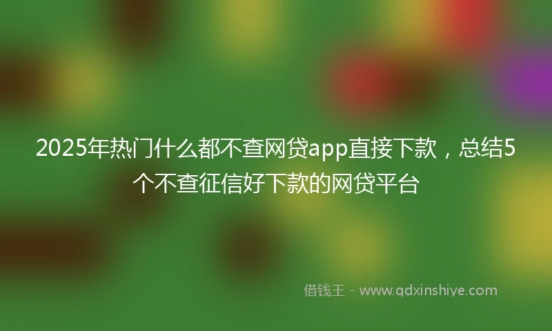 2025年热门什么都不查网贷app直接下款，总结5个不查征信好下款的网贷平台