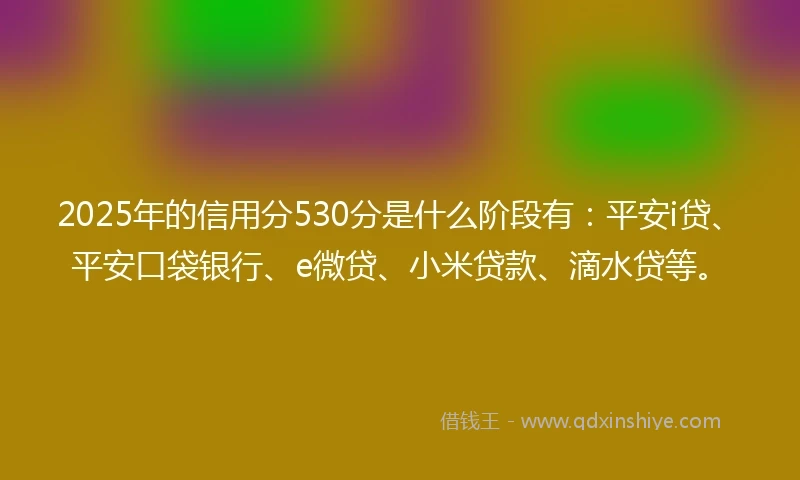 2025年的信用分530分是什么阶段有：平安i贷、平安口袋银行、e微贷、小米贷款、滴水贷等。