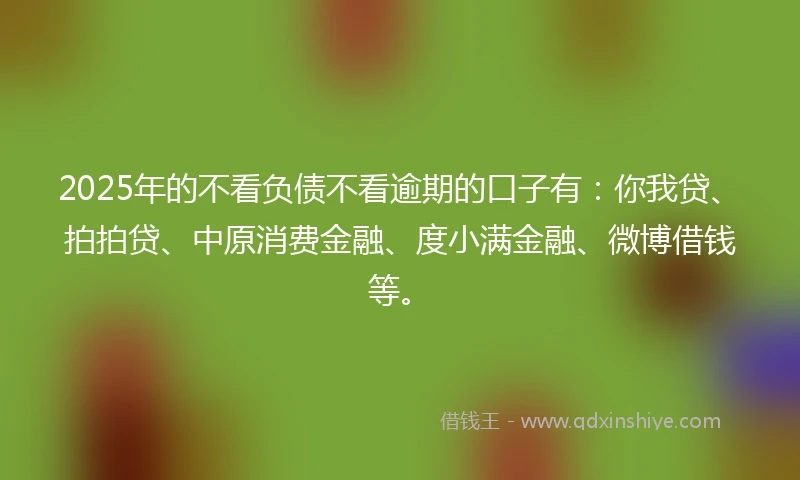 2025年的不看负债不看逾期的口子有：你我贷、拍拍贷、中原消费金融、度小满金融、微博借钱等。