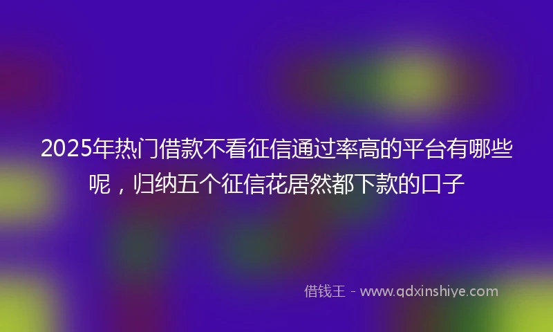 2025年热门借款不看征信通过率高的平台有哪些呢，归纳五个征信花居然都下款的口子