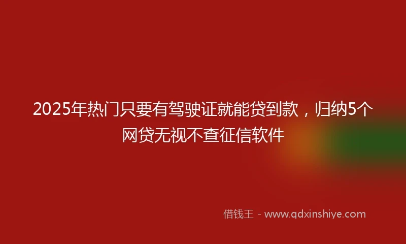 2025年热门只要有驾驶证就能贷到款，归纳5个网贷无视不查征信软件