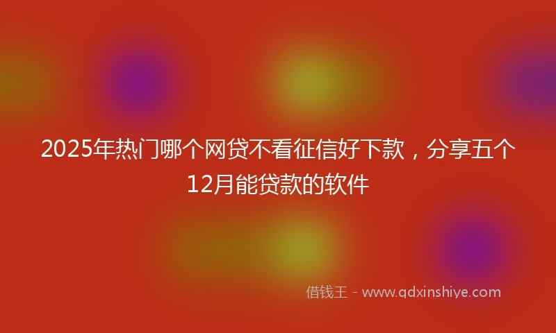 2025年热门哪个网贷不看征信好下款，分享五个12月能贷款的软件