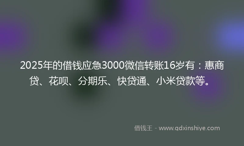 2025年的借钱应急3000微信转账16岁有：惠商贷、花呗、分期乐、快贷通、小米贷款等。