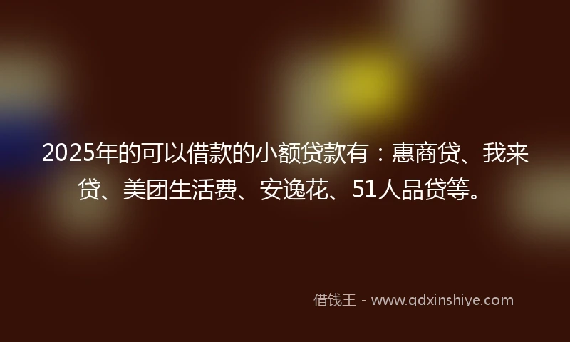 2025年的可以借款的小额贷款有：惠商贷、我来贷、美团生活费、安逸花、51人品贷等。