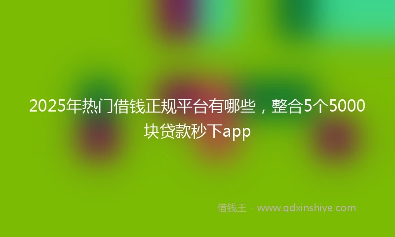 2025年热门借钱正规平台有哪些，整合5个5000块贷款秒下app