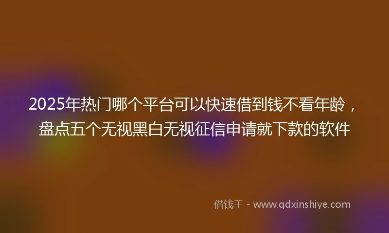 2025年热门哪个平台可以快速借到钱不看年龄，盘点五个无视黑白无视征信申请就下款的软件