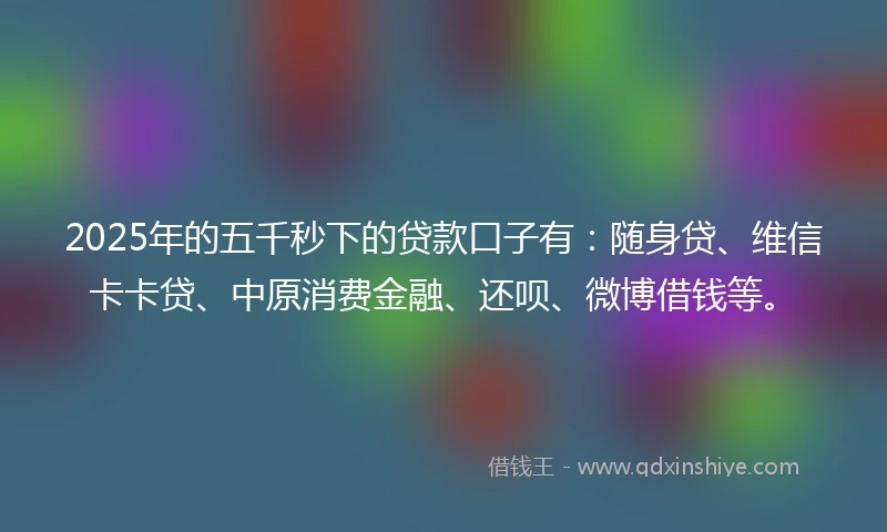 2025年的五千秒下的贷款口子有：随身贷、维信卡卡贷、中原消费金融、还呗、微博借钱等。