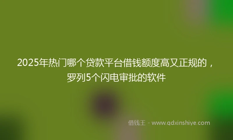 2025年热门哪个贷款平台借钱额度高又正规的，罗列5个闪电审批的软件
