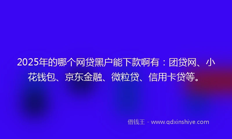 2025年的哪个网贷黑户能下款啊有:团贷网、小花钱包、京东金融、微粒贷、信用卡贷等。