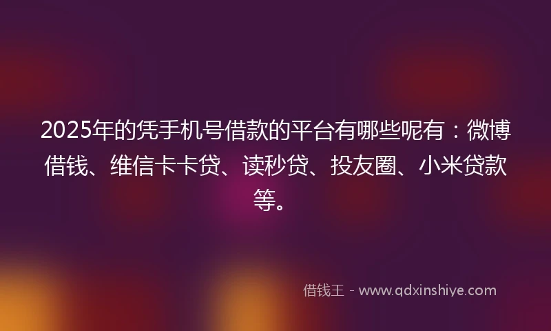 2025年的凭手机号借款的平台有哪些呢有：微博借钱、维信卡卡贷、读秒贷、投友圈、小米贷款等。