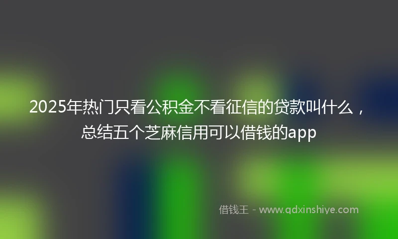 2025年热门只看公积金不看征信的贷款叫什么，总结五个芝麻信用可以借钱的app
