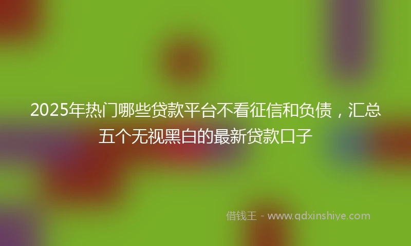 2025年热门哪些贷款平台不看征信和负债，汇总五个无视黑白的最新贷款口子