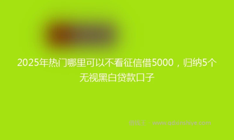 2025年热门哪里可以不看征信借5000，归纳5个无视黑白贷款口子