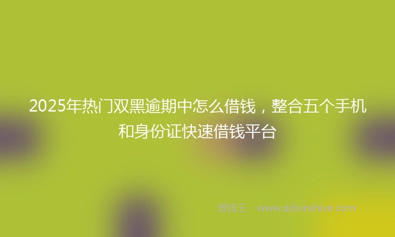 2025年热门双黑逾期中怎么借钱，整合五个手机和身份证快速借钱平台