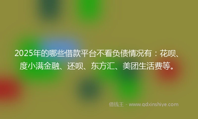 2025年的哪些借款平台不看负债情况有:花呗、度小满金融、还呗、东方汇、美团生活费等。